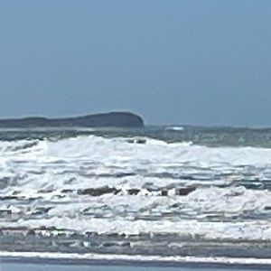 Meet your Posher, Dianne